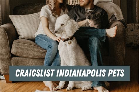 craigslist indianapolis pets